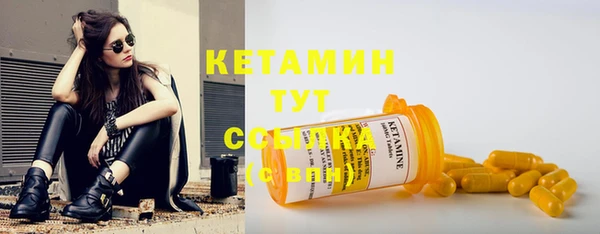 стаф Осинники