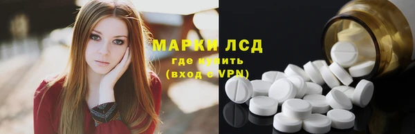 стаф Осинники