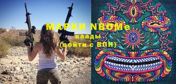 стаф Осинники