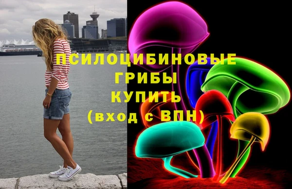 стаф Осинники