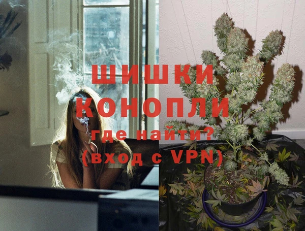 стаф Осинники