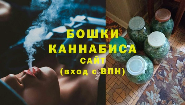 стаф Осинники