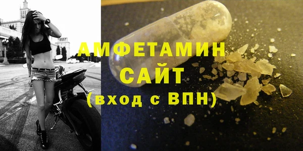 стаф Осинники