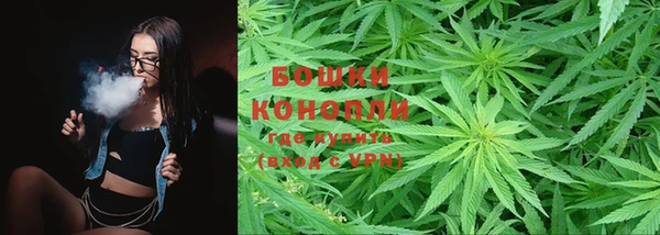 стаф Осинники